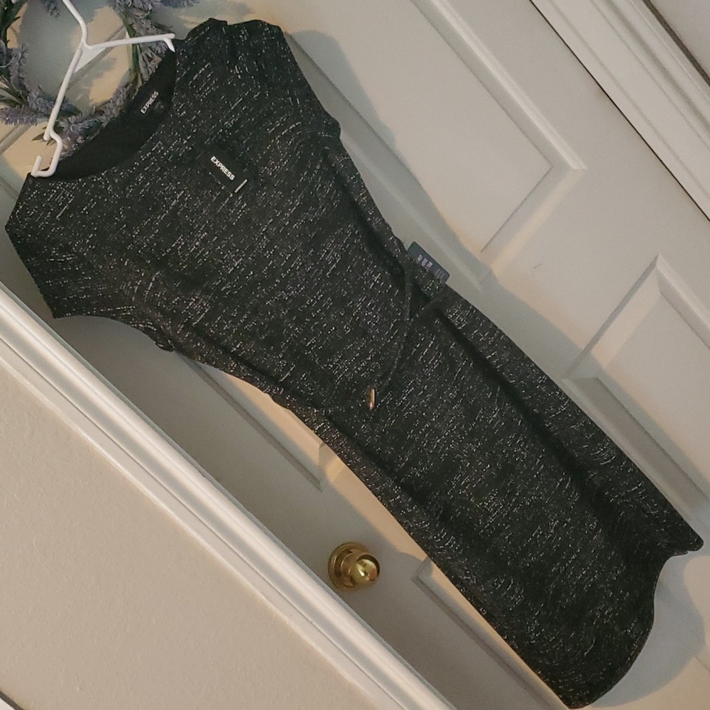 Express NWT Business Attire Dress